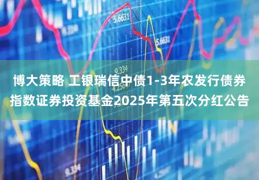 博大策略 工银瑞信中债1-3年农发行债券指数证券投资基金2025年第五次分红公告