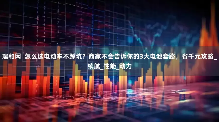 瑞和网  怎么选电动车不踩坑？商家不会告诉你的3大电池套路，省千元攻略_续航_性能_动力