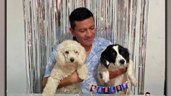 杨帆配资 秘鲁记者家中遭炸弹袭击，勇敢小狗咬断引线救下全家